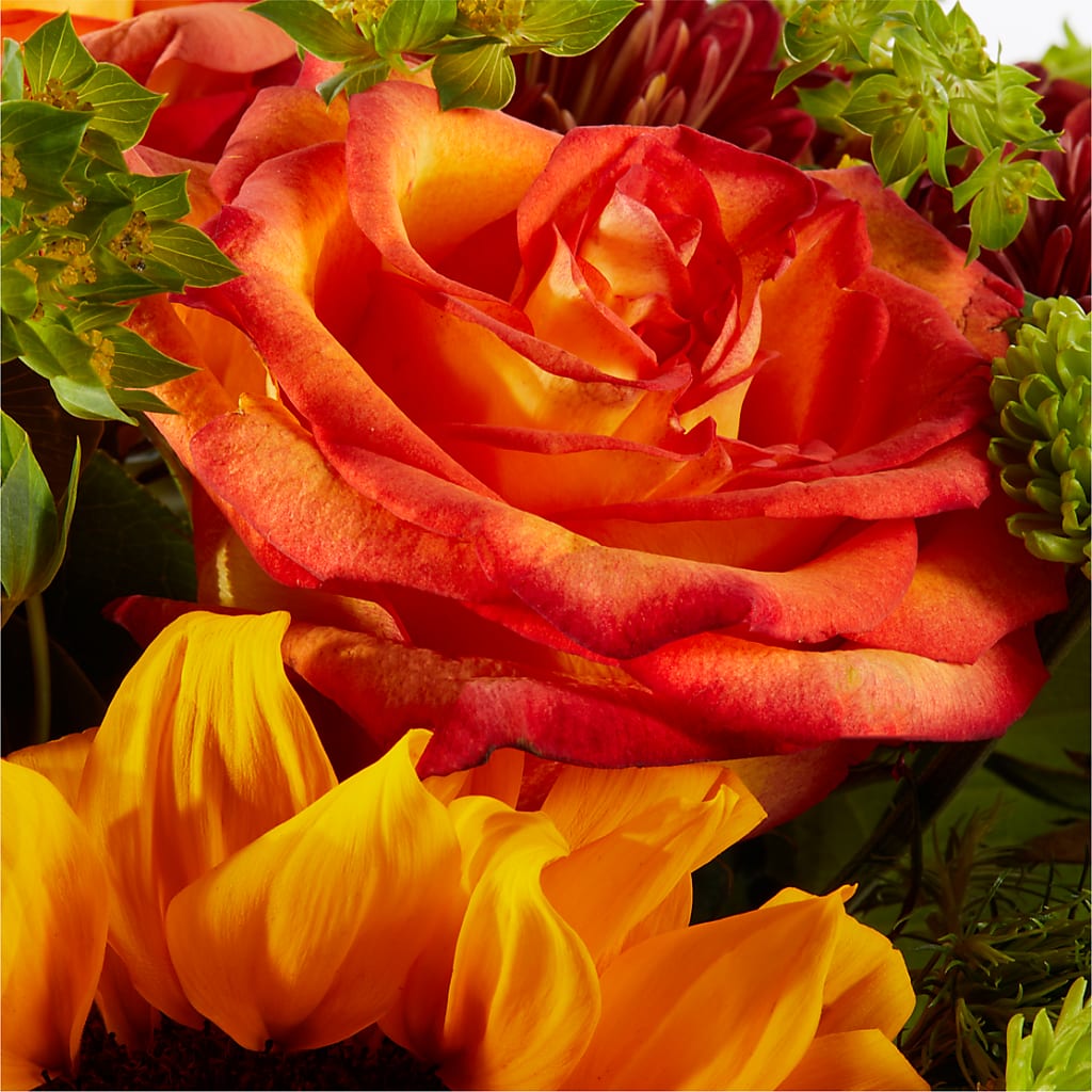 Harvest Festival Bouquet – PAULINE'S BLOOMERS, Brunswick ME