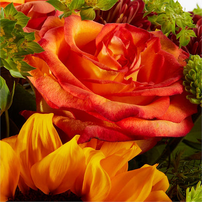 Harvest Festival Bouquet – PAULINE'S BLOOMERS, Brunswick ME