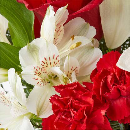Holiday Season Bouquet – PAULINE'S BLOOMERS, Brunswick ME
