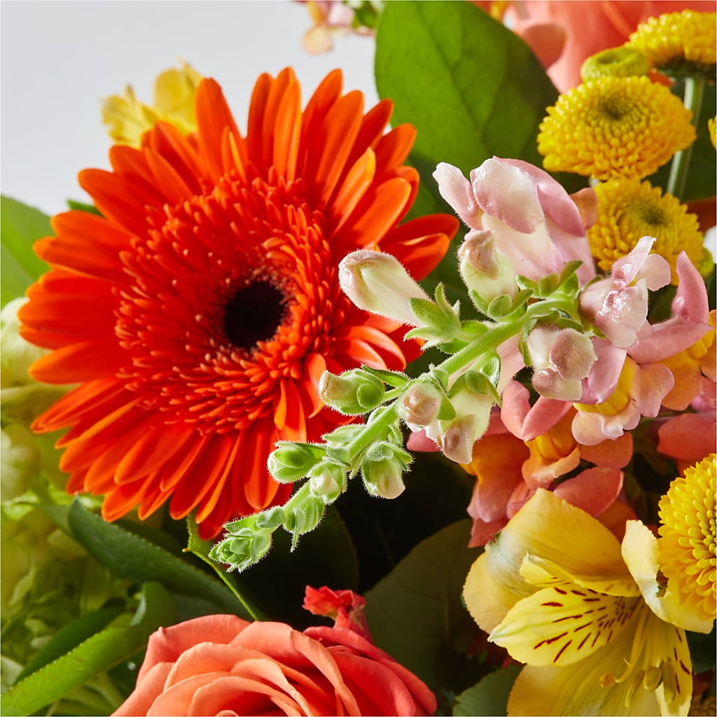 Autumn Sunshine Bouquet – PAULINE'S BLOOMERS, Brunswick ME
