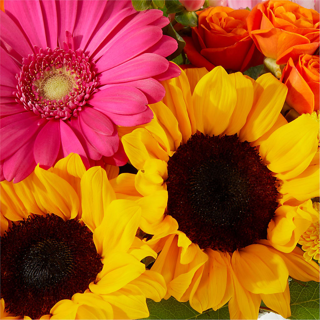 Beach Day Bouquet – PAULINE'S BLOOMERS, Brunswick ME