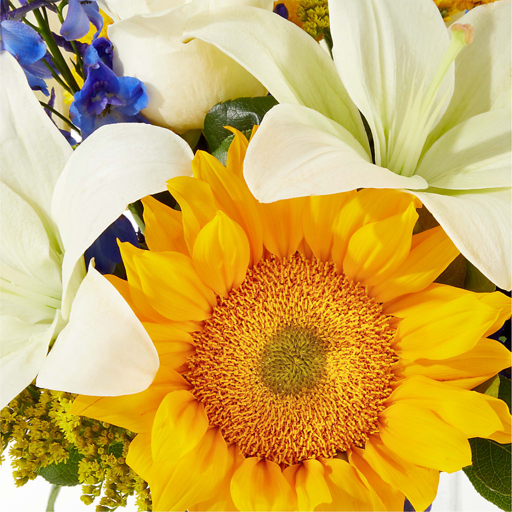 Stargazing Bouquet – PAULINE'S BLOOMERS, Brunswick ME