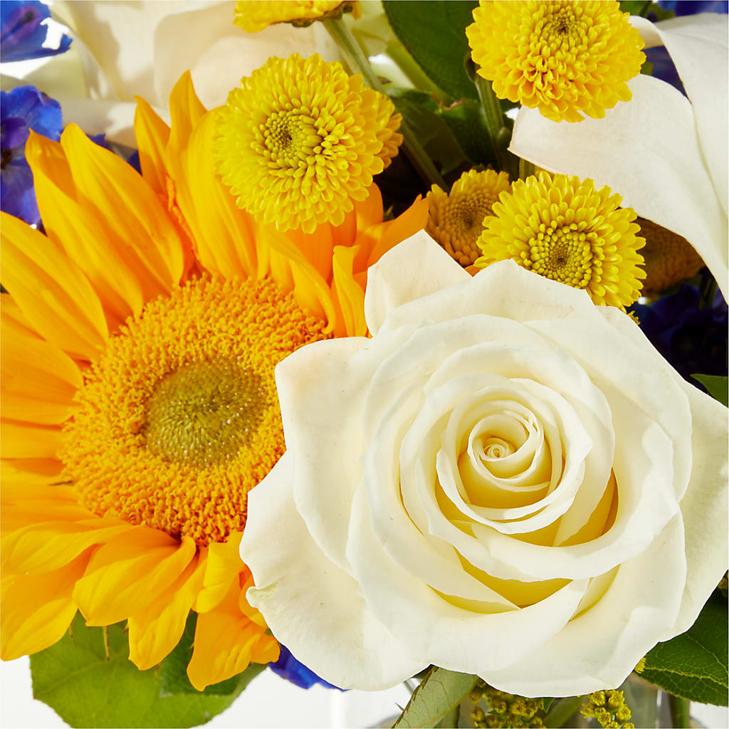 Stargazing Bouquet – PAULINE'S BLOOMERS, Brunswick ME