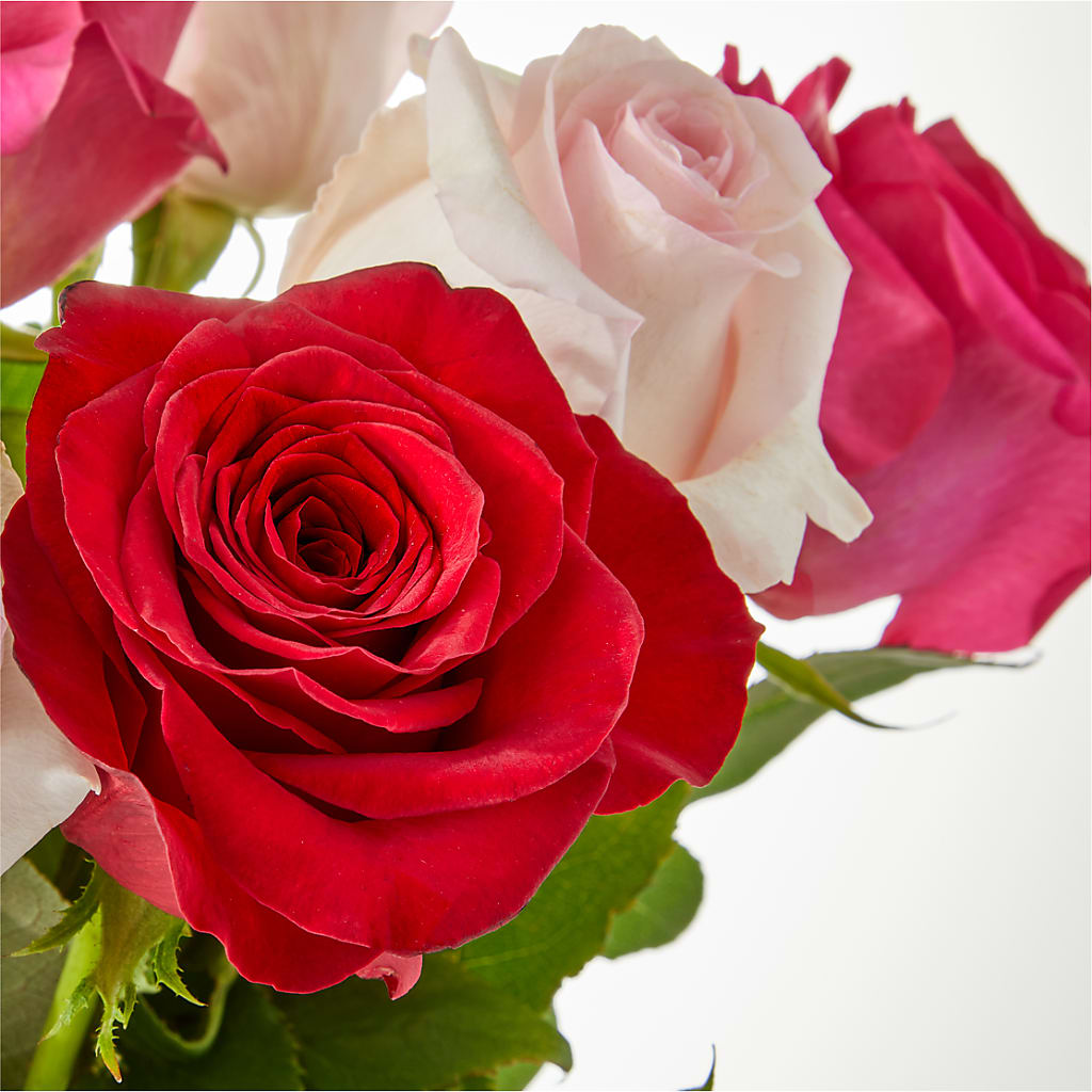 Charming Rose Bouquet – PAULINE'S BLOOMERS, Brunswick ME