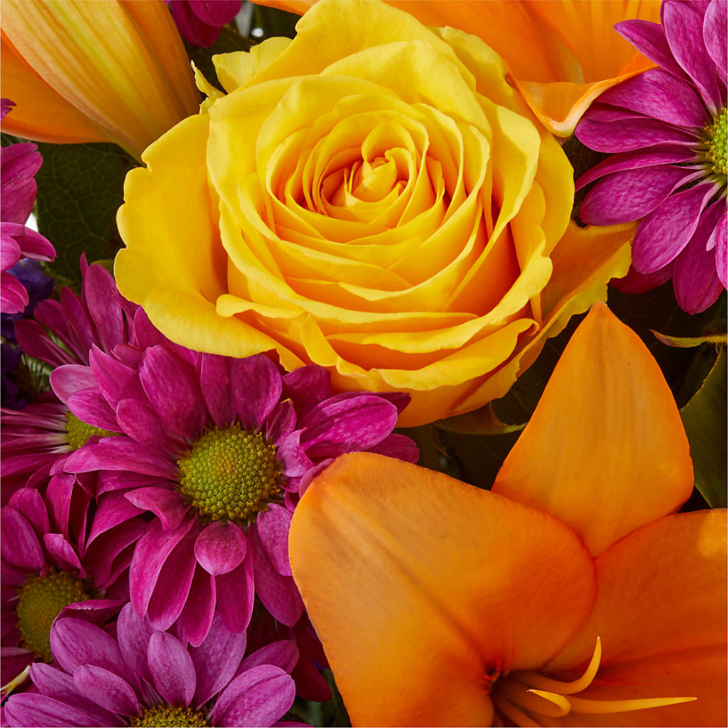 Colorful Visions Bouquet – PAULINE'S BLOOMERS, Brunswick ME