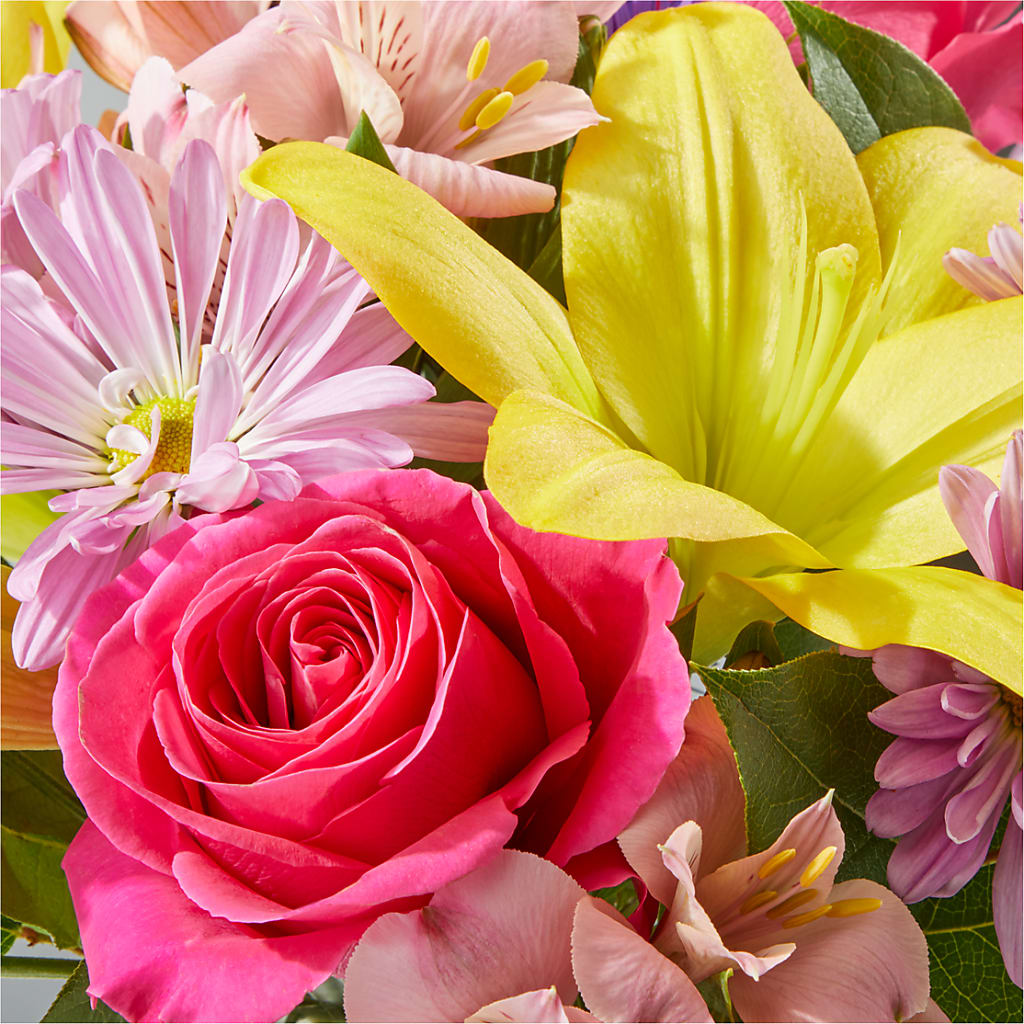 Sprinkles Bouquet – PAULINE'S BLOOMERS, Brunswick ME
