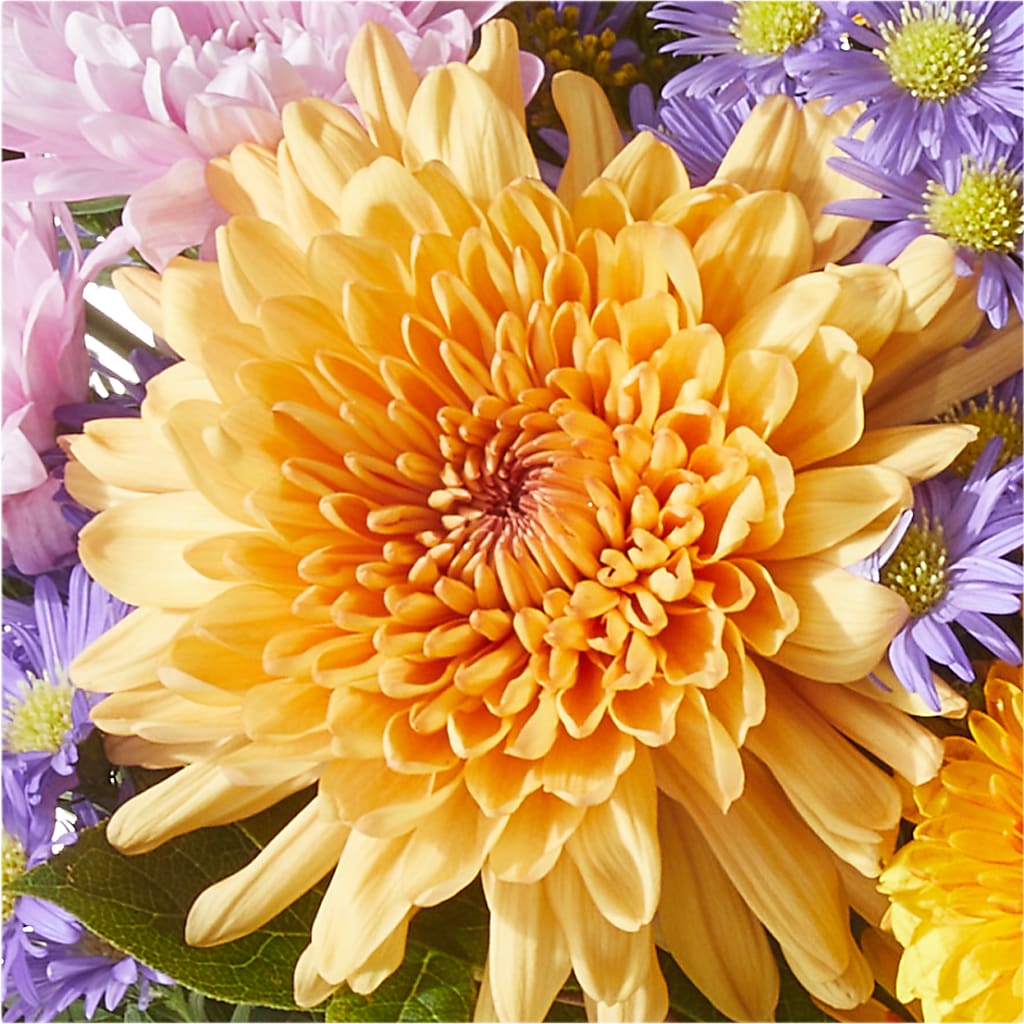 Countryside Bouquet – PAULINE'S BLOOMERS, Brunswick ME