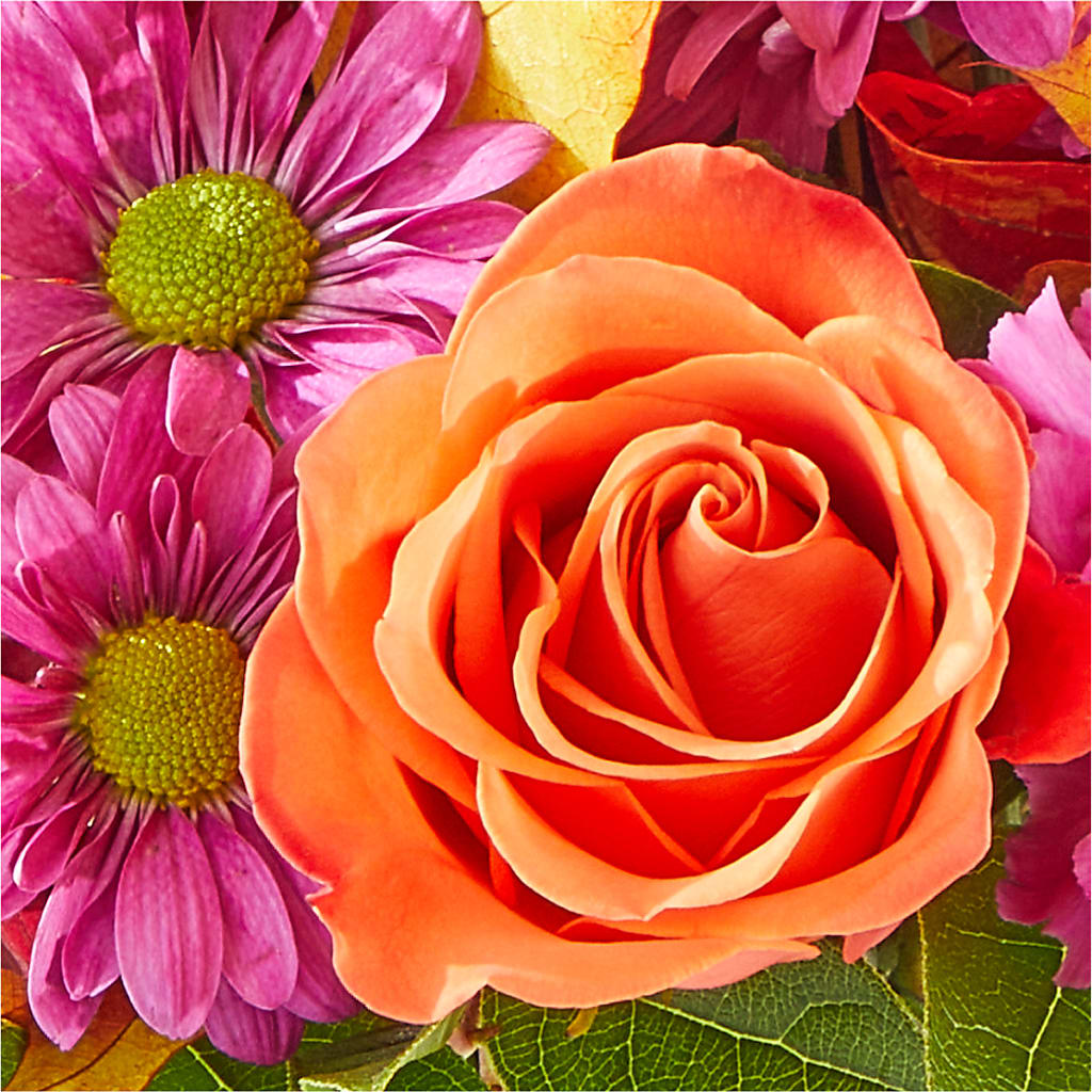 Mum's the Word Bouquet – PAULINE'S BLOOMERS, Brunswick ME