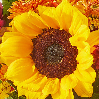 Sunny Side Bouquet – PAULINE'S BLOOMERS, Brunswick ME