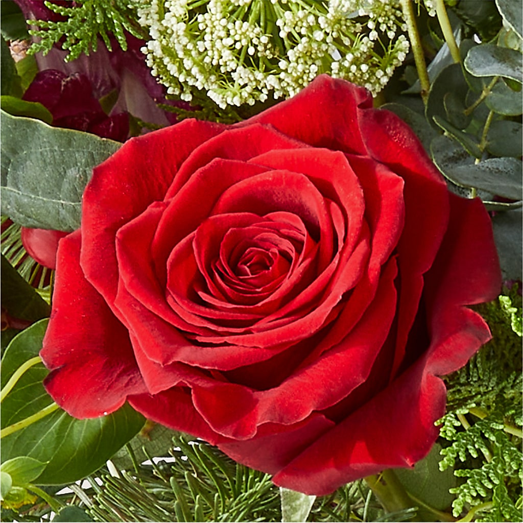 Cranberry Fizz Bouquet – PAULINE'S BLOOMERS, Brunswick ME