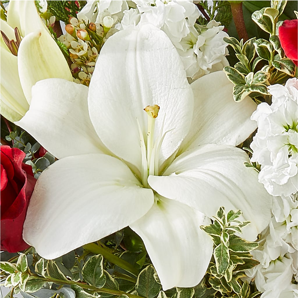Twinkle Lights Bouquet – PAULINE'S BLOOMERS, Brunswick ME