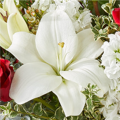 Twinkle Lights Bouquet – PAULINE'S BLOOMERS, Brunswick ME