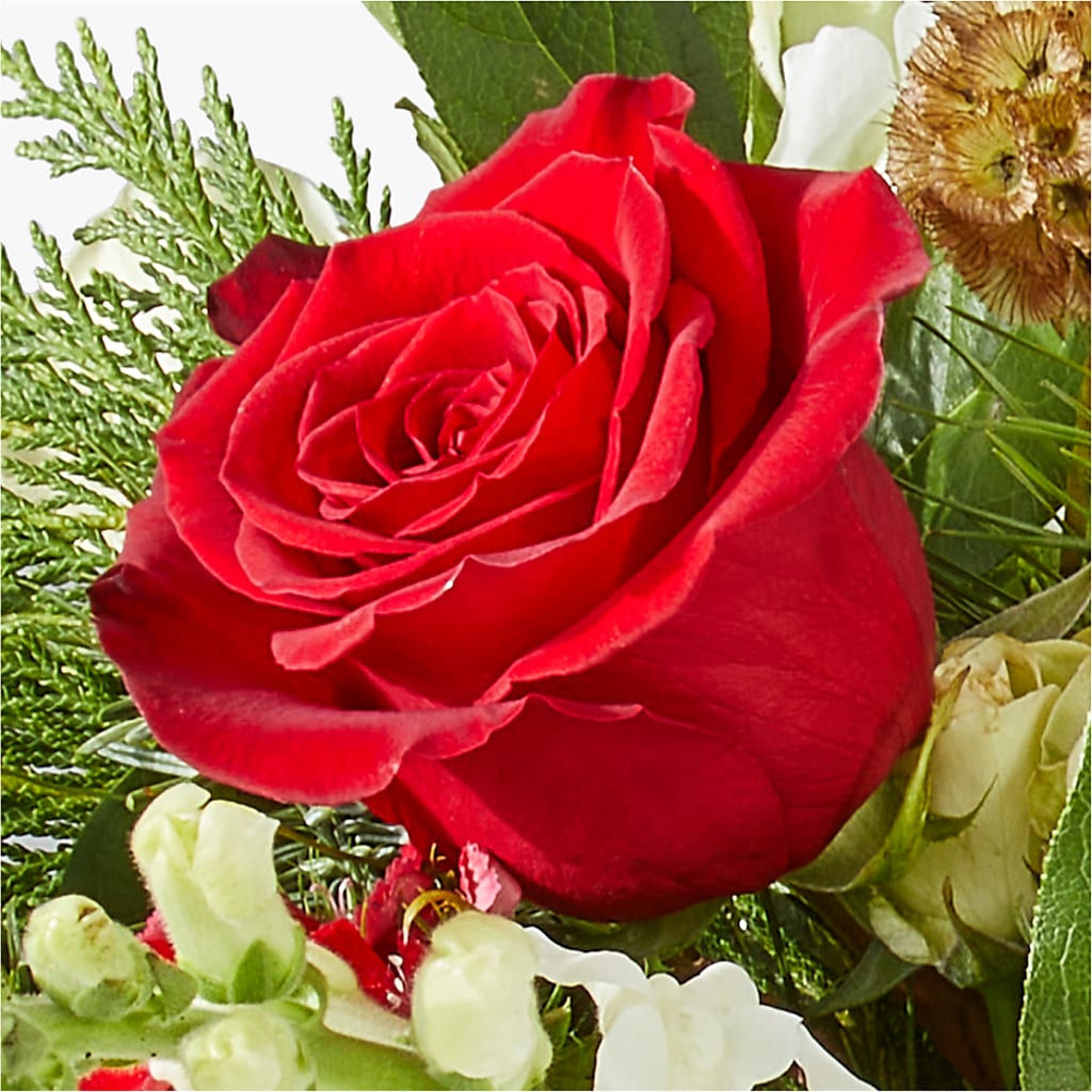Deck the Halls Bouquet – PAULINE'S BLOOMERS, Brunswick ME