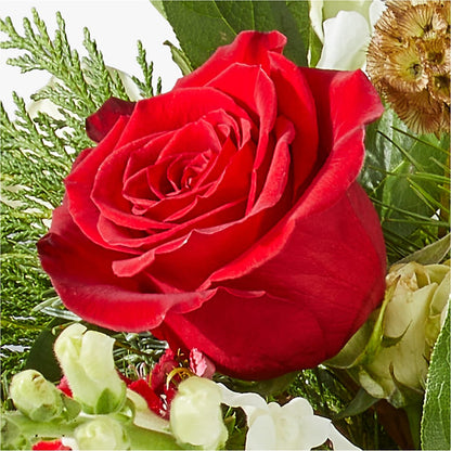 Deck the Halls Bouquet – PAULINE'S BLOOMERS, Brunswick ME