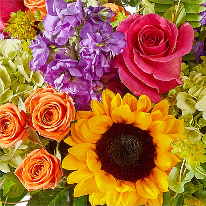 Vibrant Greetings Bouquet – PAULINE'S BLOOMERS, Brunswick ME