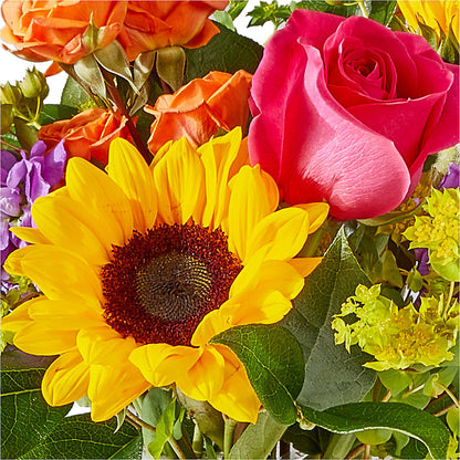 Vibrant Greetings Bouquet – PAULINE'S BLOOMERS, Brunswick ME
