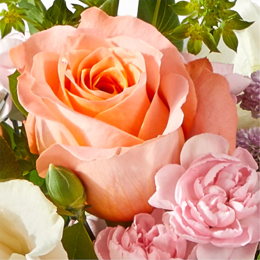 French Market Bouquet – PAULINE'S BLOOMERS, Brunswick ME