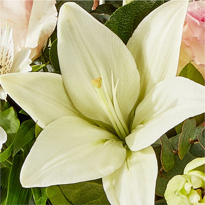 Ballet Slippers Bouquet – PAULINE'S BLOOMERS, Brunswick ME