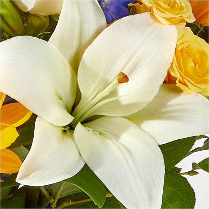 Wonderfully Sunny Bouquet – PAULINE'S BLOOMERS, Brunswick ME