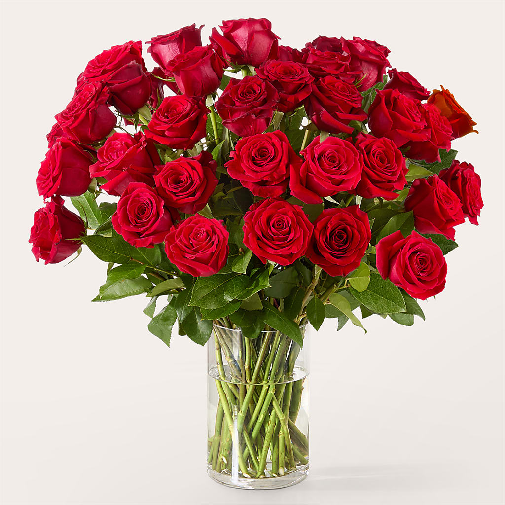 The One Red Rose Bouquet – PAULINE'S BLOOMERS, Brunswick ME