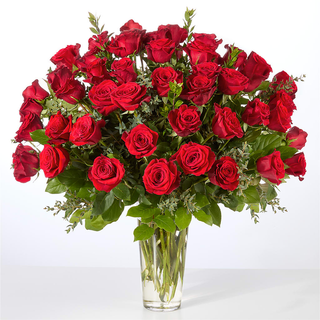 Forever Yours Fifty Stem Red Rose Bouquet – PAULINE'S BLOOMERS, Brunswick ME