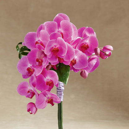 Glorious Bouquet – PAULINE'S BLOOMERS, Brunswick ME