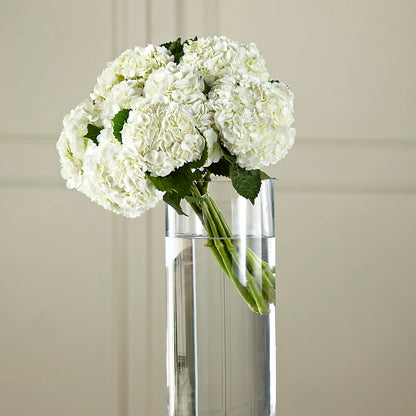 White Hydrangea Hand-Tied Bouquet – PAULINE'S BLOOMERS, Brunswick ME