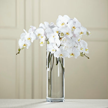 White Phalaenopsis Bouquet – PAULINE'S BLOOMERS, Brunswick ME