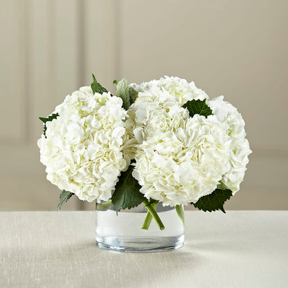 White Hydrangea Bouquet – PAULINE'S BLOOMERS, Brunswick ME