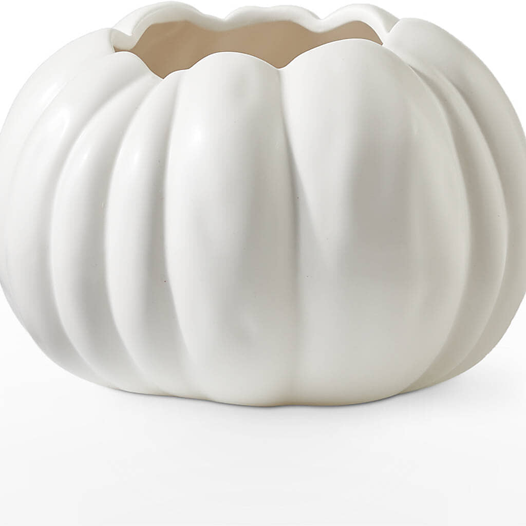 Autumn Air Pumpkin Bouquet – PAULINE'S BLOOMERS, Brunswick ME